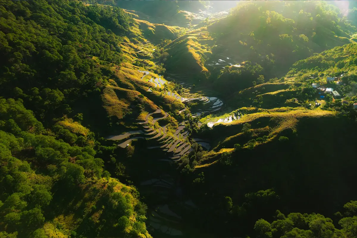 Aerial view of rice terraces cut into a forested Cordillera valley at sunrise